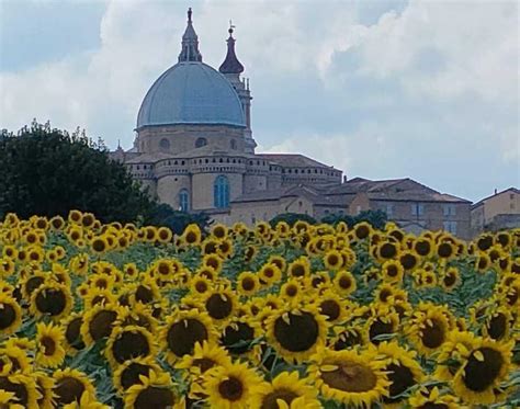 AZIENDA AGRARIA – Fondazione Opere Laiche .